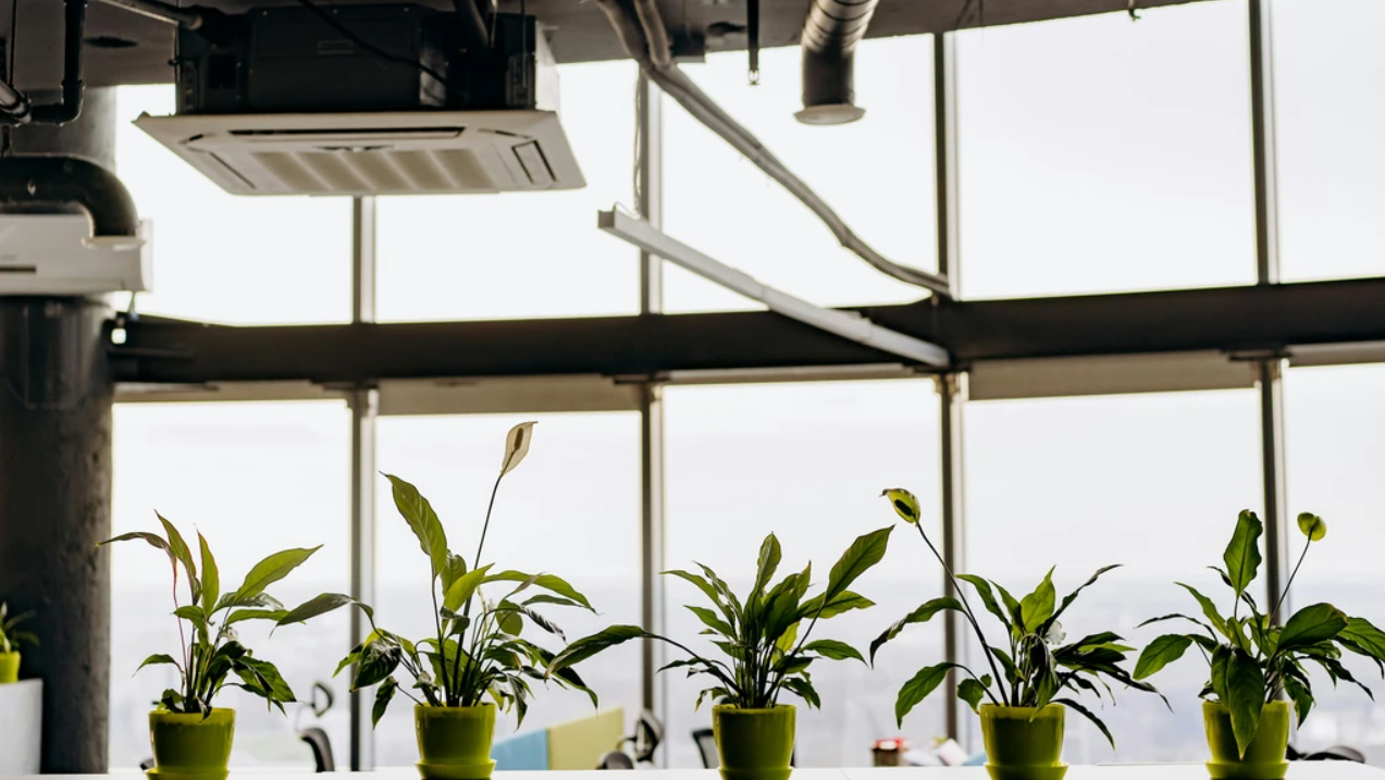 Oleria Reinigungsteam